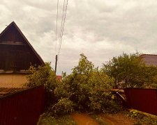 Пошкоджені дерева, білборди та газопровід: комунальники ліквідували наслідки негоди в Покровську