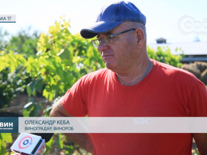 Зелений туризм у Покровському районі: виноградар Олександр Кеба поділився досвідом та планами