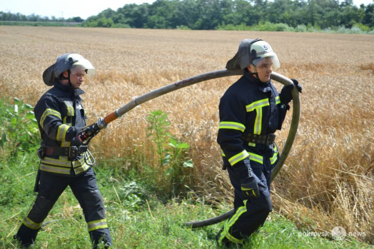 Спасать экосистему от пожара готовы: спасатели Покровска проводят учения в полях