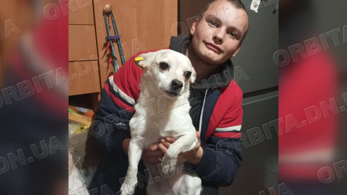 Роби добро там, де ти є: зооволонтер з Білозерського Богдан Курусь – «Молода людина року 2025»