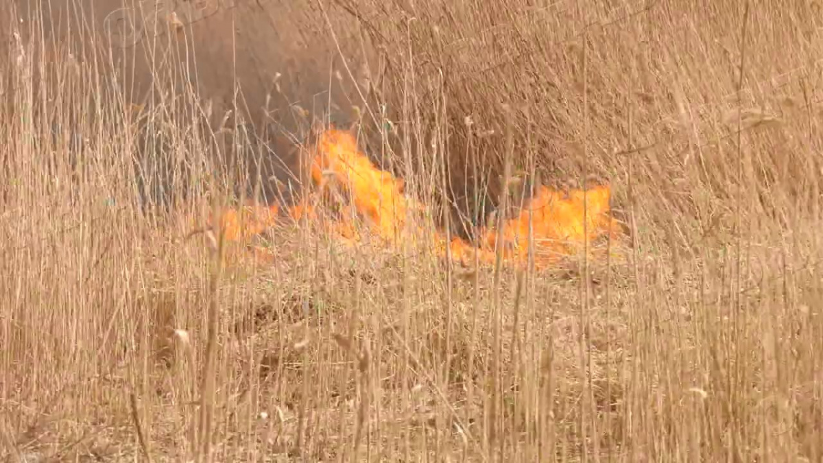 Рятувальники звітують: на Донеччині значно почастішали пожежі