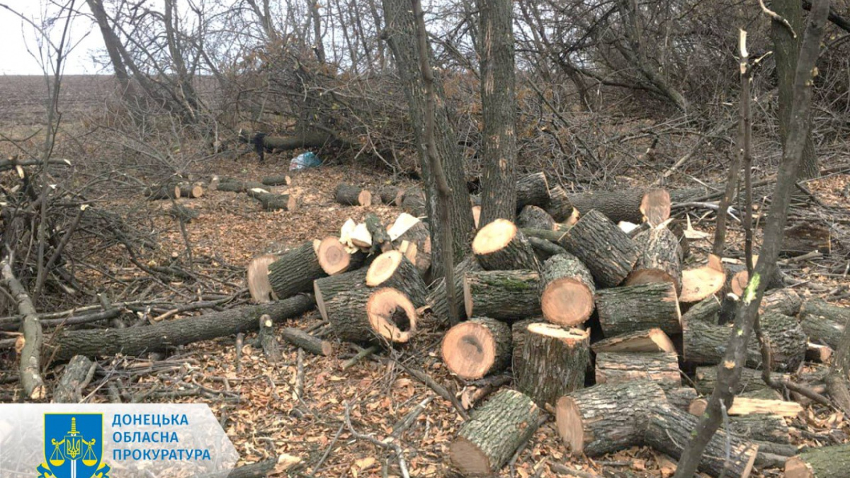 Незаконно пиляв дерева та крав майно в орендарів – покровчанина засуджено до 5 років тюрми