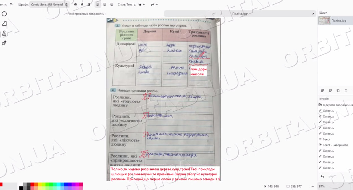 Успіх, підтримка, порада: як покровські вчителі перевіряють письмові роботи онлайн