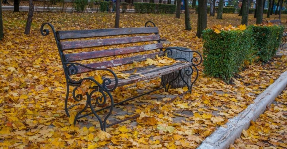 Погода в Покровске на сегодня, 4 ноября