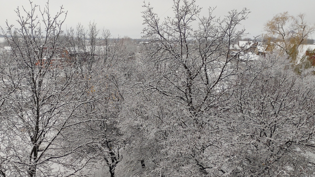 Від снігу до +13: про погоду на тиждень для Покровська