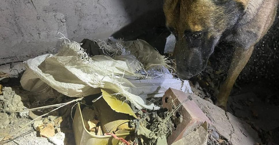В Донецкой области обнаружили тайник с боеприпасами