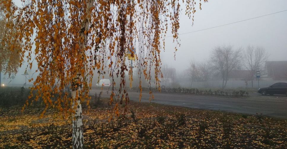Погода в Покровске на сегодня, 12 ноября