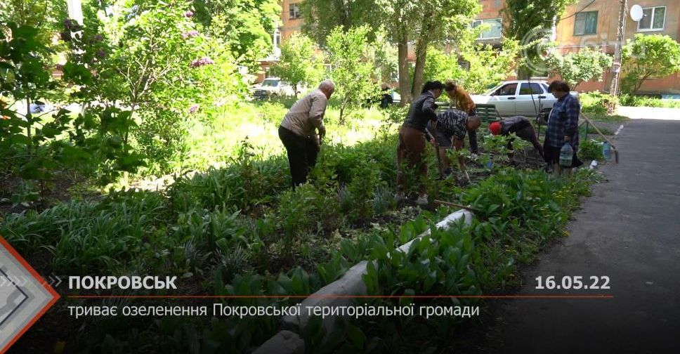 З місця подій. Триває озеленення Покровської громади