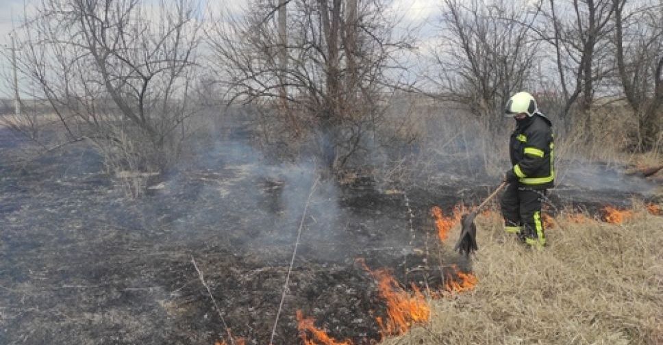 На Донеччині палає суха рослинність