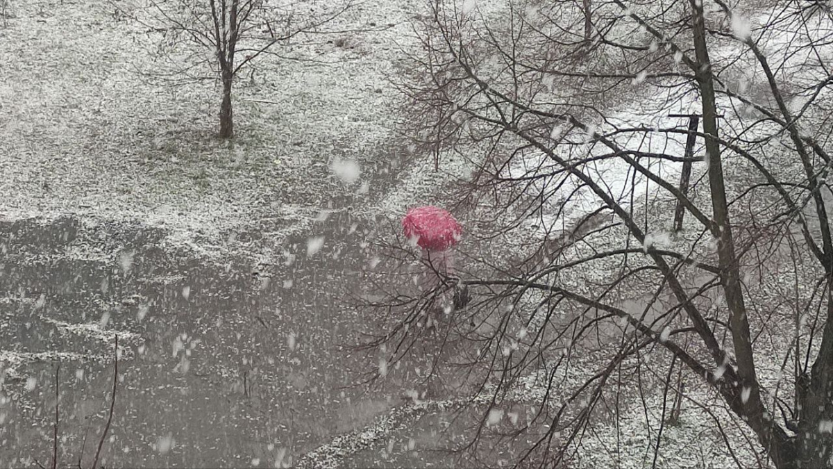 Від +18 до -5°С та перший мокрий сніг прогнозують в Україні на тижні 17-23 листопада