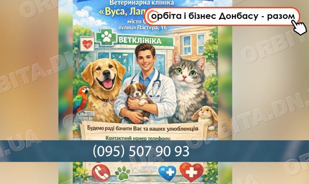 700 кілометрів від дому: новий старт покровської ветклініки «Вуса, лапи, хвіст» в Одесі