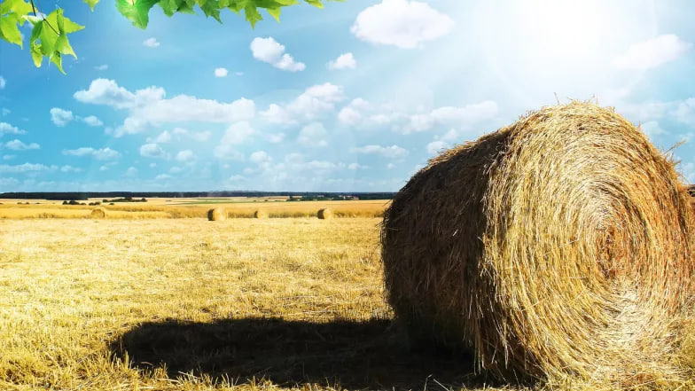 Холодно ще не буде, але дощитиме: прогноз погоди в Україні на вихідні 3-4 серпня