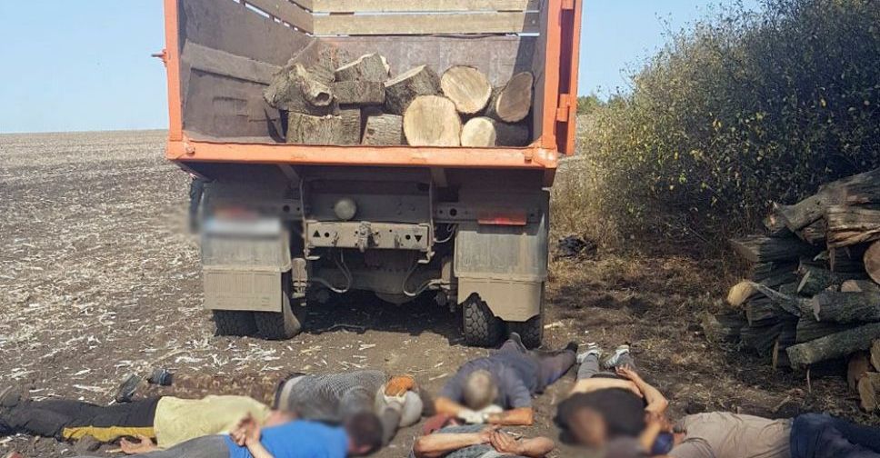Поліція Донеччини ліквідувала нелегальний бізнес з вирубки лісу