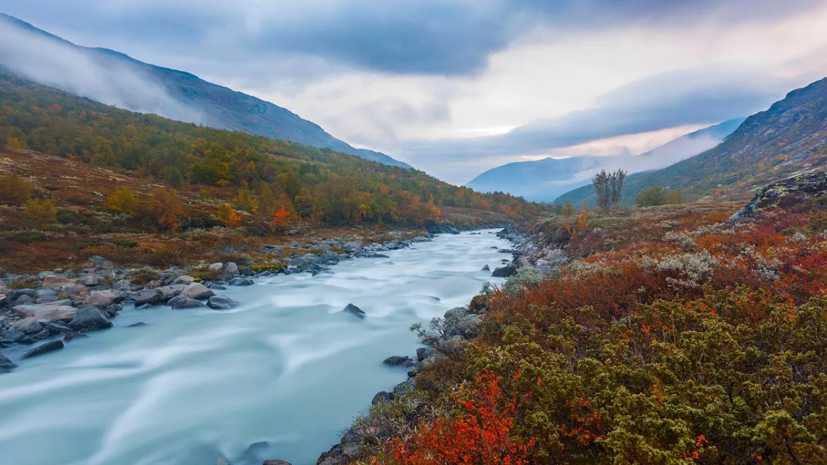Синоптики розповіли про погоду в Україні в останні вихідні листопада