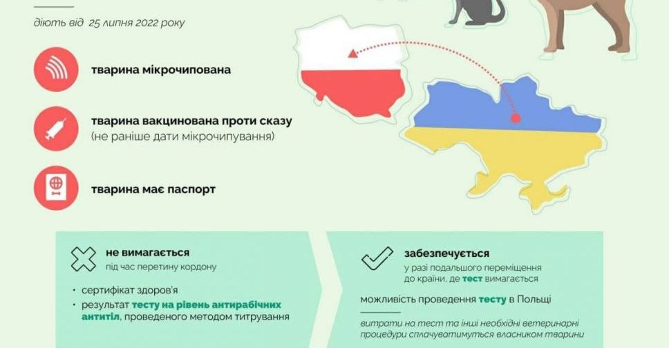 З 25 липня набувають чинності нові правила вивезення тварин з України до Польщі