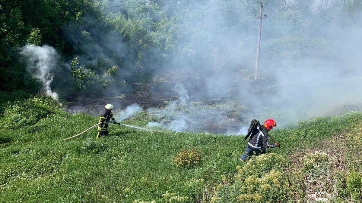 Добровільна пожежно-рятувальна команда Покровська ліквідувала займання в екосистемі