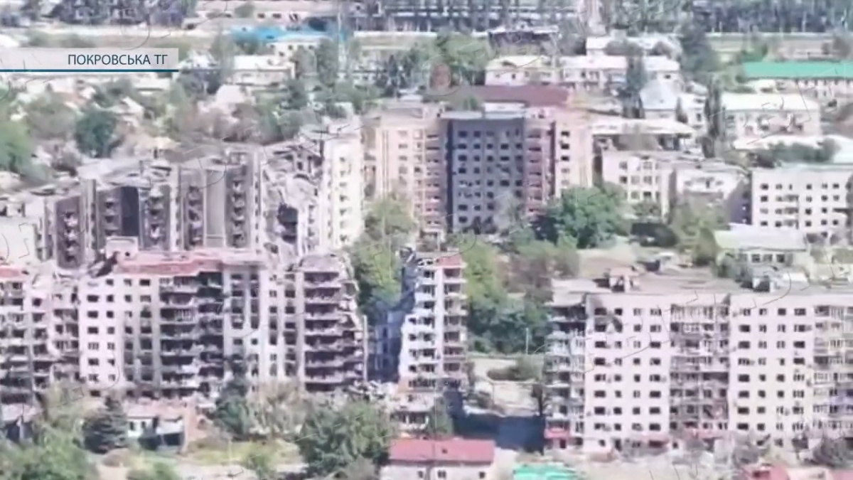 Про компенсації за житло в Покровській громаді та помилки в оформленні документів – Олексій Стебель