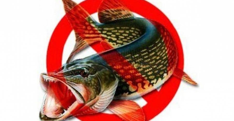 С 1 апреля в Донецкой области запрещен вылов рыбы