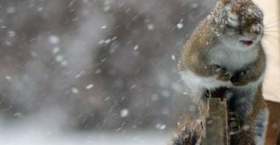 Штормовий вітер та сніг із дощем увірвуться в Україну 11 лютого