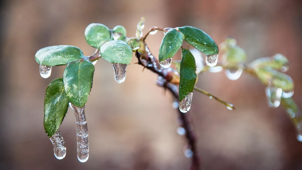 Нестійка та волога погода: прогноз для України на тиждень з 16 по 22 лютого