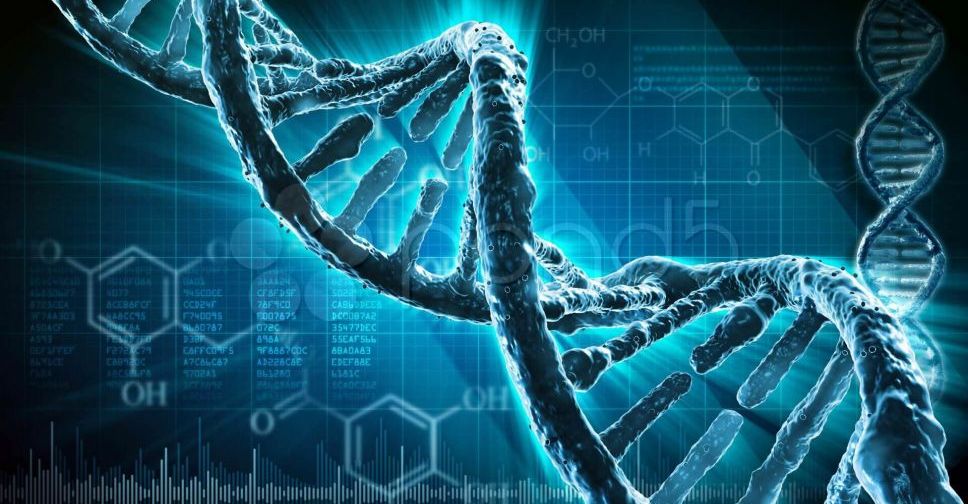 Що можуть передати гени: цікаві факти, про які ви могли не знати