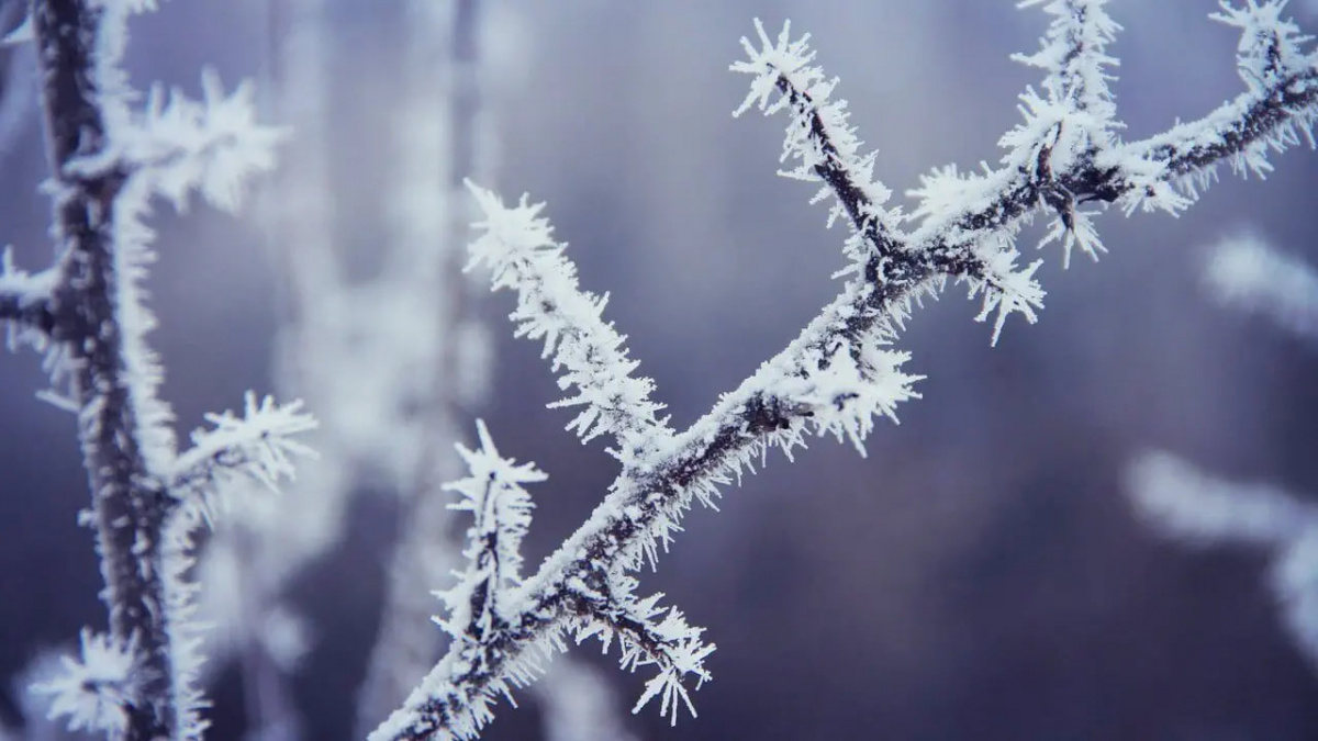 Міцні нічні морози триватимуть в Україні впродовж тижня 12-18 січня
