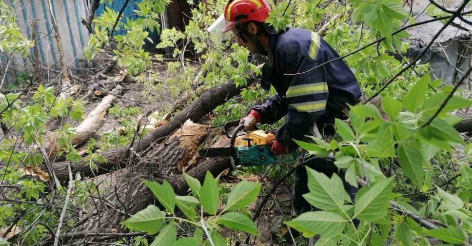 Минулої доби рятувальники Донеччини 10 разів прибирали дерева та гілки, що впали внаслідок негоди