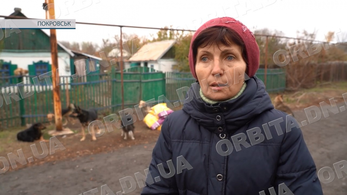 Спільна біда: зооволонтери допомагають один одному прогодувати покинутих тварин