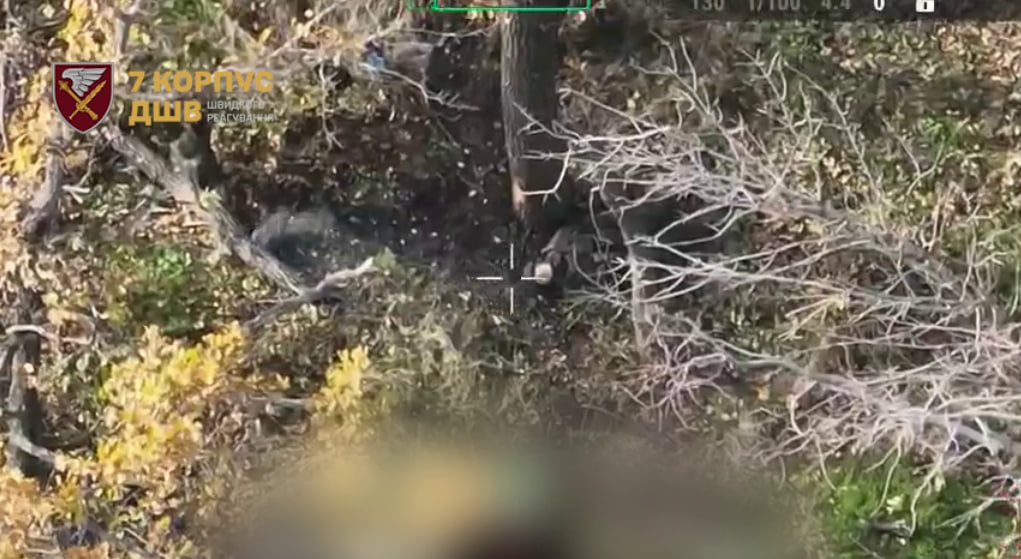 Ситуація у Покровську та Мирнограді станом на 11:00 30 жовтня від 7 корпусу ШР ДШВ