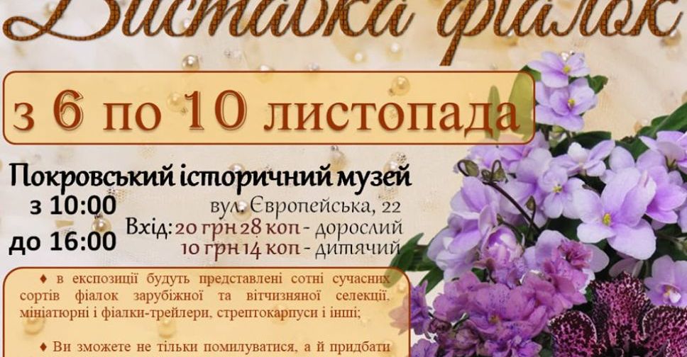 Жителей Покровска приглашают посетить выставку фиалок