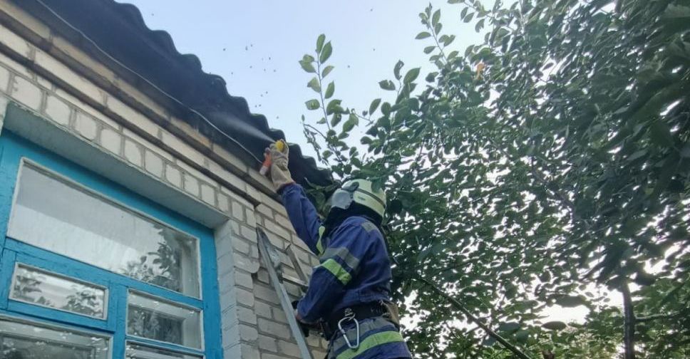 Спасатели помогли жителям Покровского района избавиться от пчел