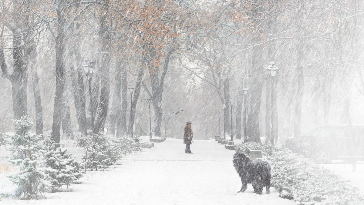 Стійкі «мінуси», сніг та вітер: на межі 2025-2026 років нас очікує справжня зимова погода