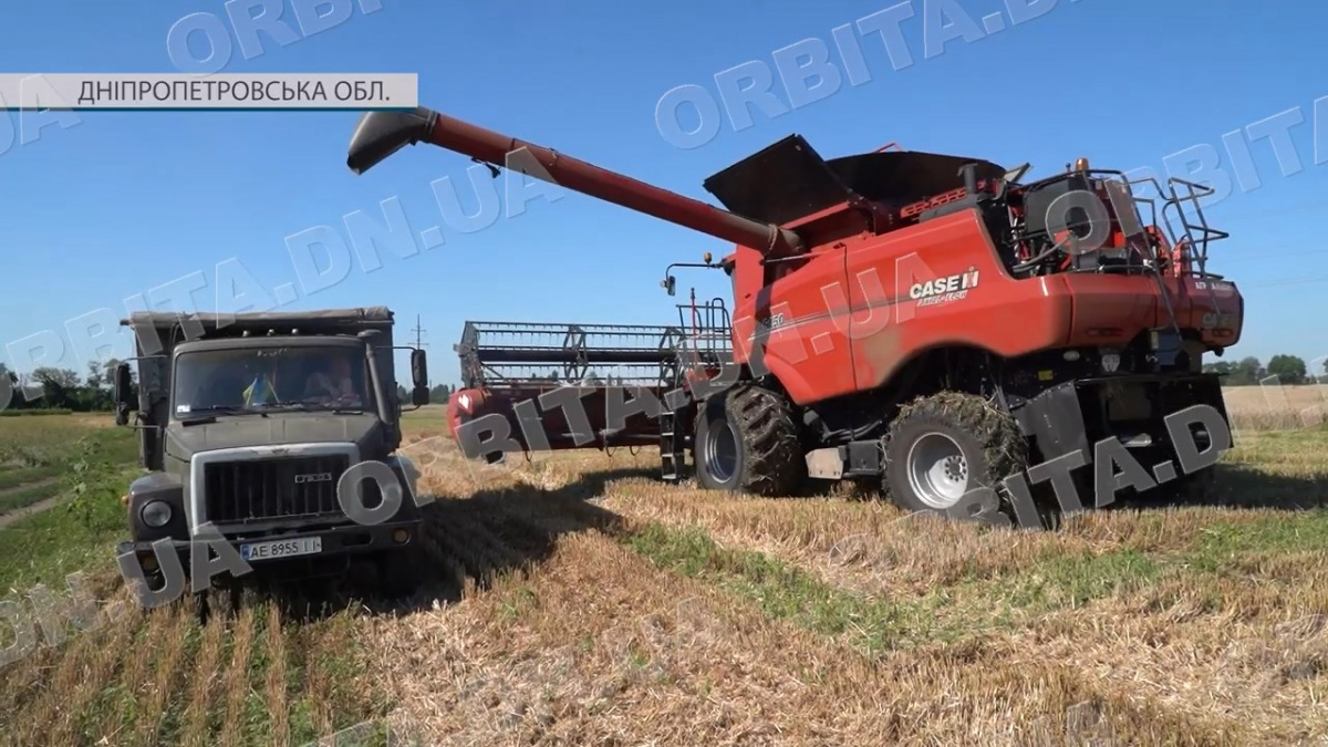 Жнива, селекція і наука: як працює релокована Донецька дослідна агростанція