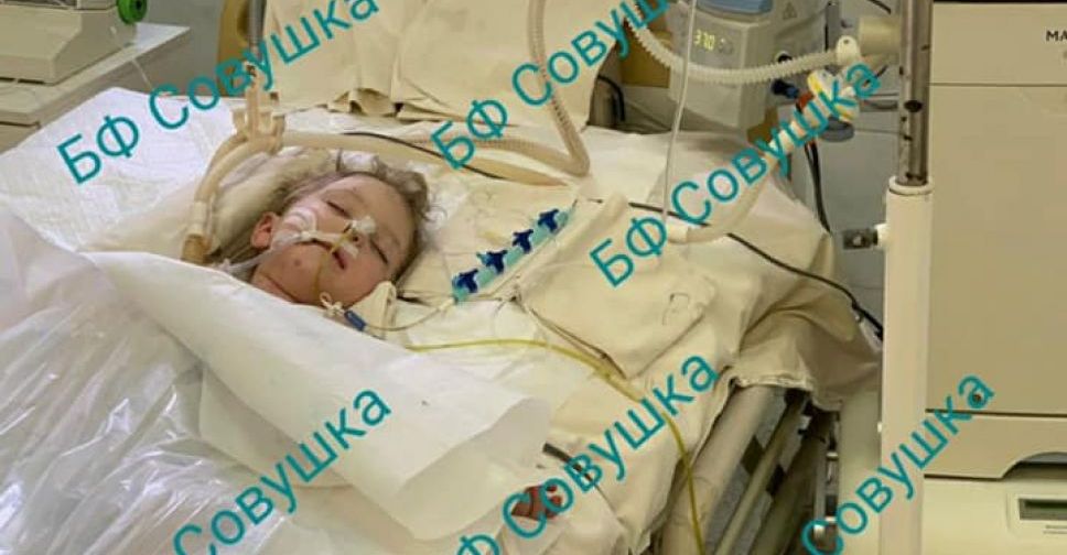 В больнице Днепра умер мальчик из Селидово, которого покусали собаки