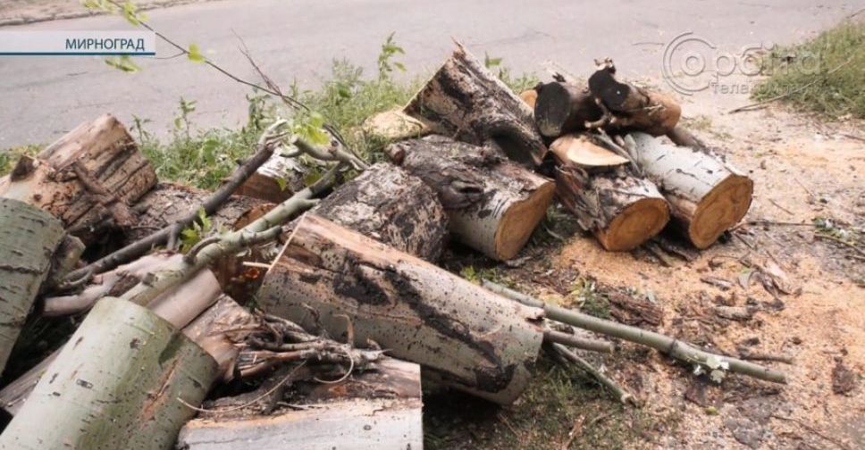Час новин. За дровами – до Терцентру: у Мирнограді допомагають твердим паливом пільговим категоріям громадян