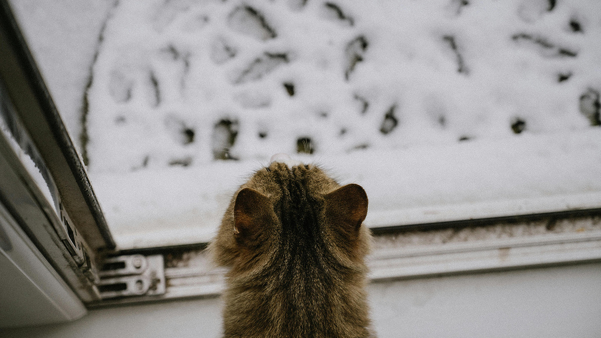 Прогноз погоди в Україні на тиждень 9-15 лютого: після чергового похолодання – підвищення температури