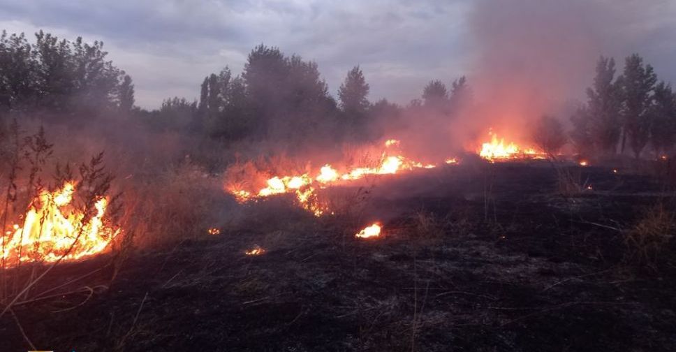 В Мирнограде и Покровском районе продолжаются пожары в экосистемах
