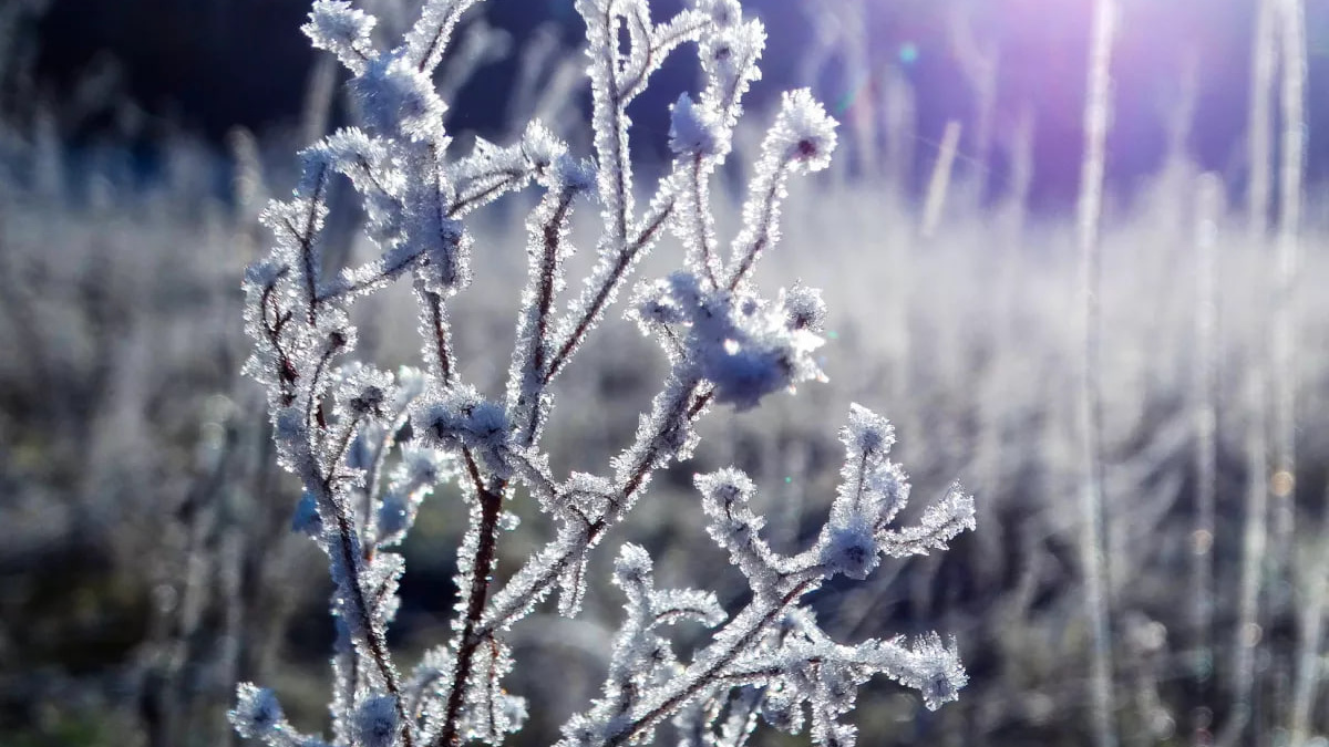 Сухо, морозно та ясно: прогноз погоди в Україні на вихідні 21-22 лютого
