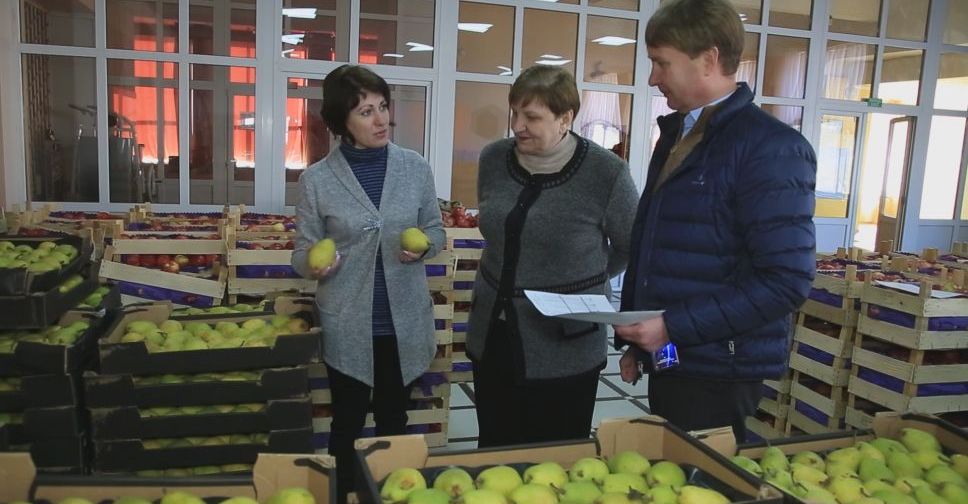 З місця подій. Благодійники передали фрукти для дітей Мирноградської громади