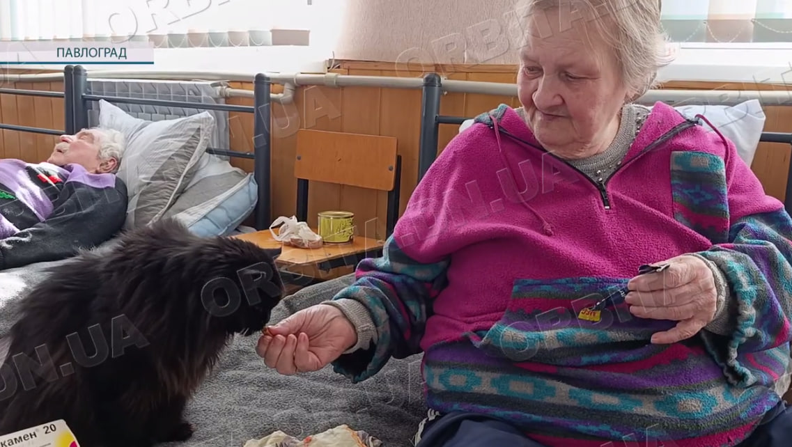 Евакуація триває: Павлоград приймає до 90 осіб щодня