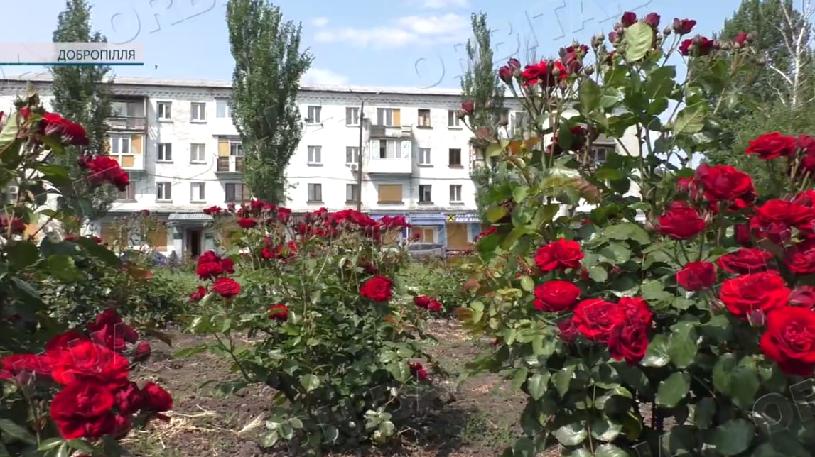 Небезпечно, але з вірою в краще: про настрої мешканців прифронтового Добропілля