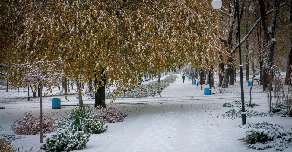 Погода в Покровске на сегодня, 23 ноября