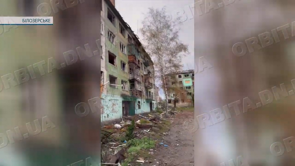 Попри війну – додому: в Білозерському побільшало людей і безхатніх тварин