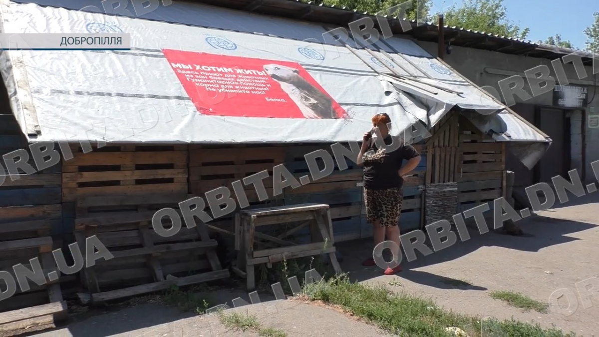 «Зупинка спасіння» потребує допомоги: зооволонтерка Вікторія Жидкова шукає місце для евакуації