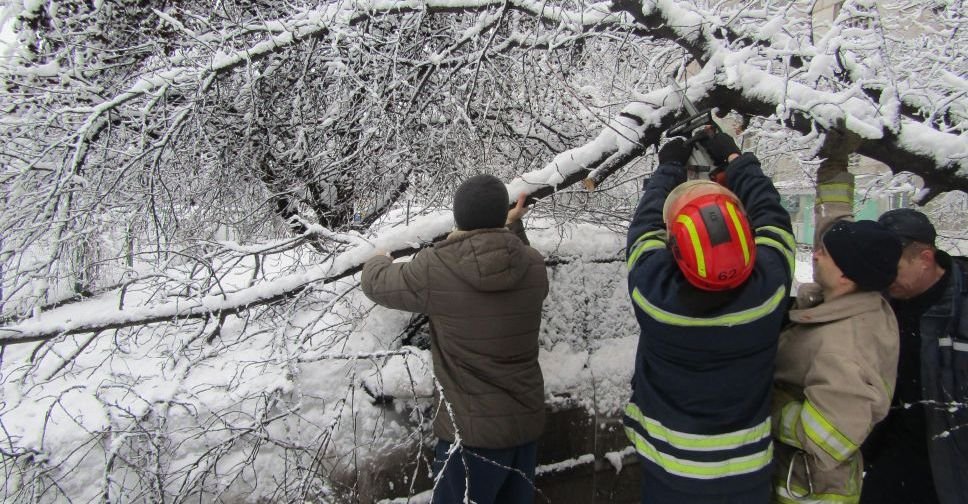 Рятувальники Добропілля допомогли водієві "визволити" автомобіль, на який впало дерево