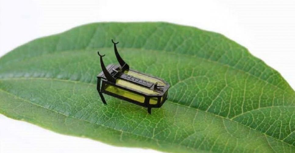 Инженеры создали крошечного жука-робота, работающего на спирте