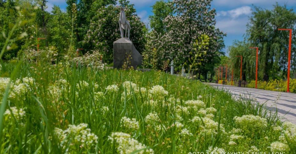 Вода, новий поїзд, ліквідація наслідків обстрілу: про життя Покровської громади на ранок 30 липня