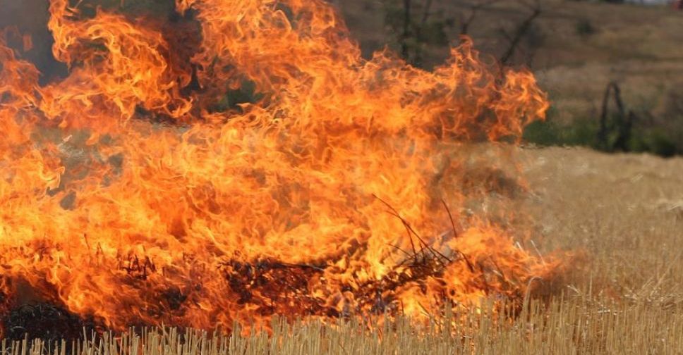 Українцям заборонили випалювати суху рослинність