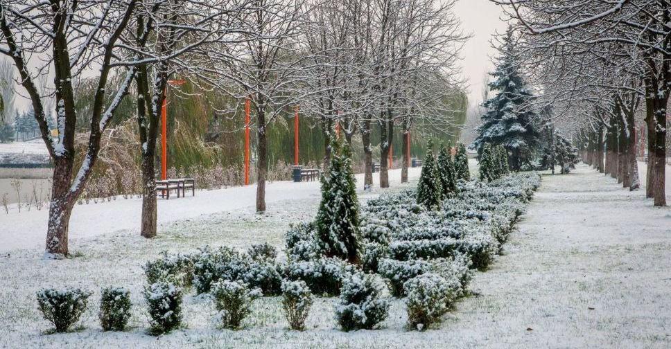 Погода в Покровске на сегодня, 8 февраля