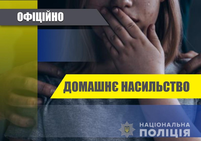 Домашнє насильство у Покровському районі: в поліції повідомили статистику